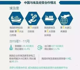 埃及進(jìn)入國(guó)家緊急狀態(tài) 商務(wù)部發(fā)布警示，外貿(mào)貨代企業(yè)需加強(qiáng)風(fēng)險(xiǎn)防范