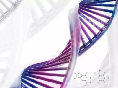 基因檢測科技 平涼美年大健康為您的健康精準護航